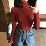 Ardm Casual Solid High Collar Jersey Punto Mujer Turtleneck Slim Vintage Jumper Soft Pull Femme Winter White Knitted Pullovers