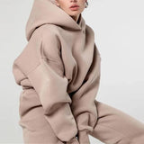Women's Solid Tracksuit Hoodies Sportpant Sets 2023 Winter New Long Sleeve Loose Sweatshirt 2 Piece Set Female Casual Sport Suit