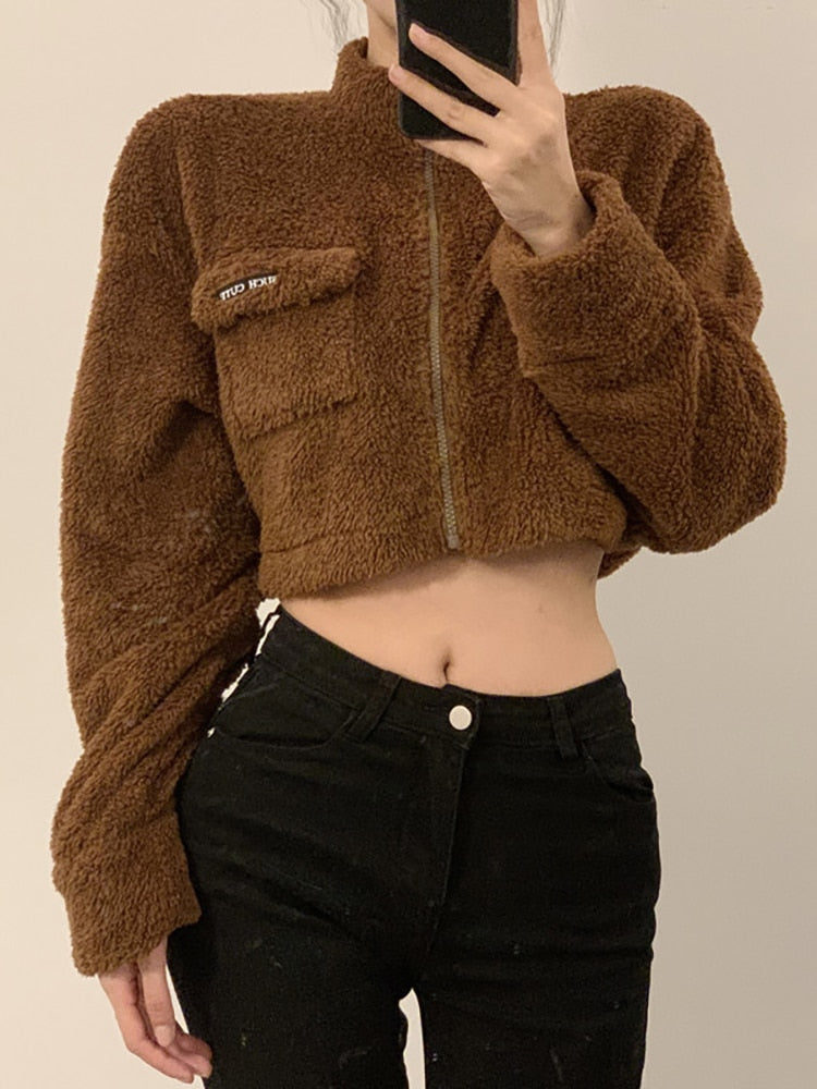 Brown Lamb Fleece Jacket Coats Women High Neck Zip Thicken Warm Faux Cropped Jacket Autumn Female Casual Hipsters Tops